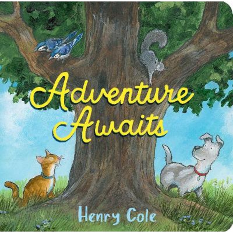 Adventure Awaits