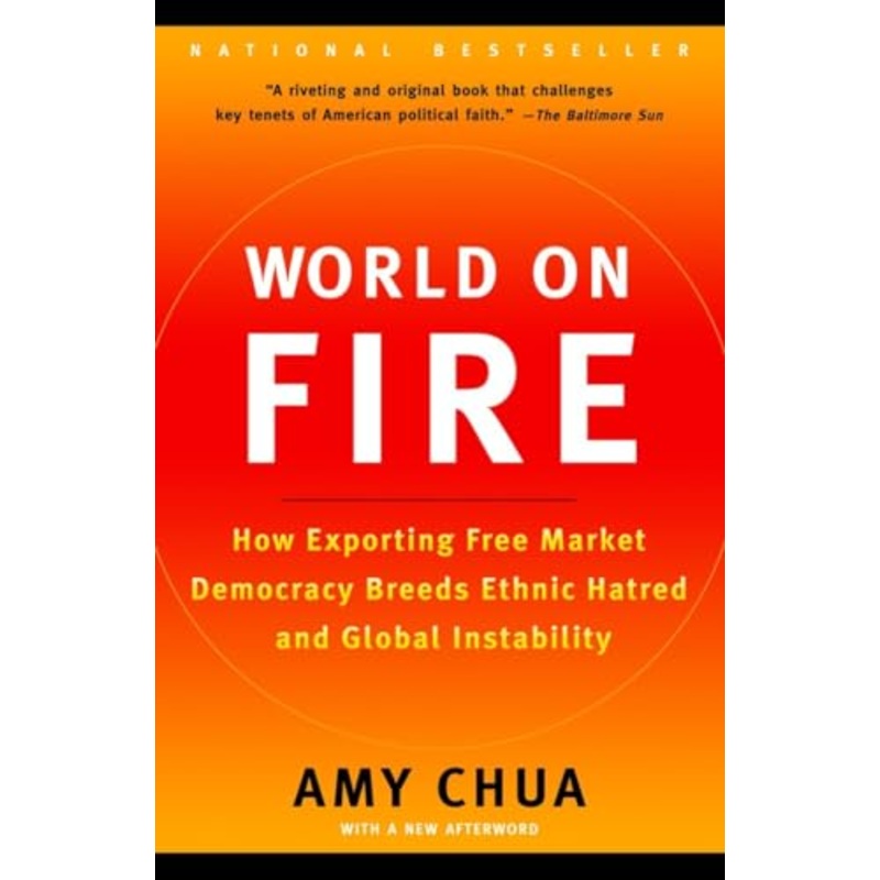 World on Fire: How Exporting Free Market Democracy Breeds Ethnic Hatred and Global Instability