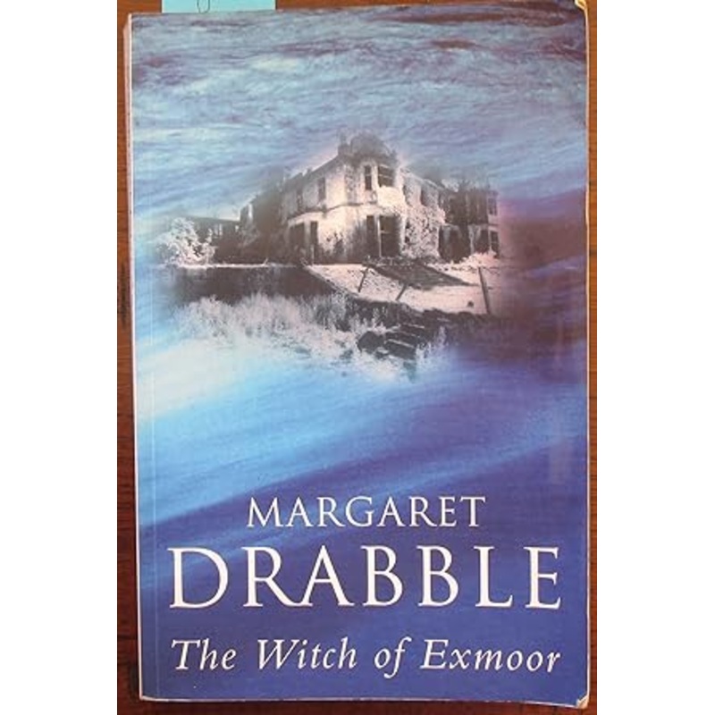 The Witch of Exmoor
