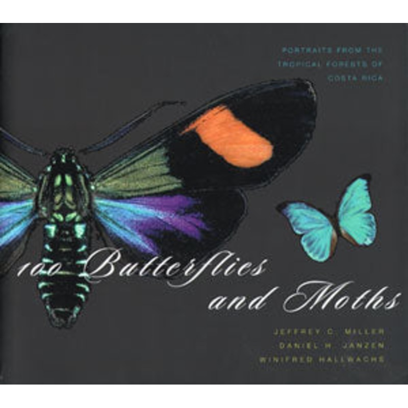 100 Butterflies and Moths: Portraits from the Tropical Forests of Costa Rica