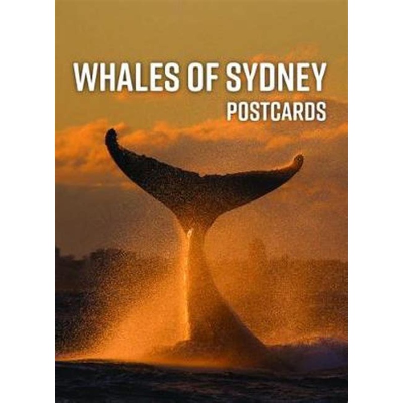Whales of Sydney Postcards