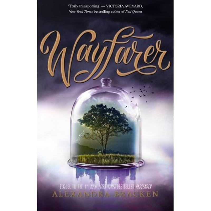 Wayfarer (Passenger, Book 2)