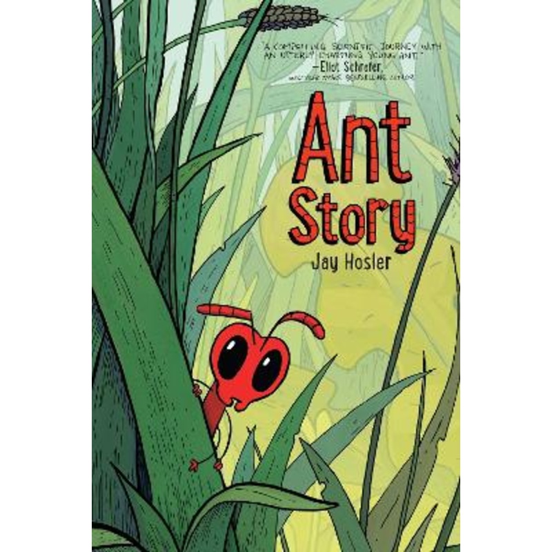 Ant Story