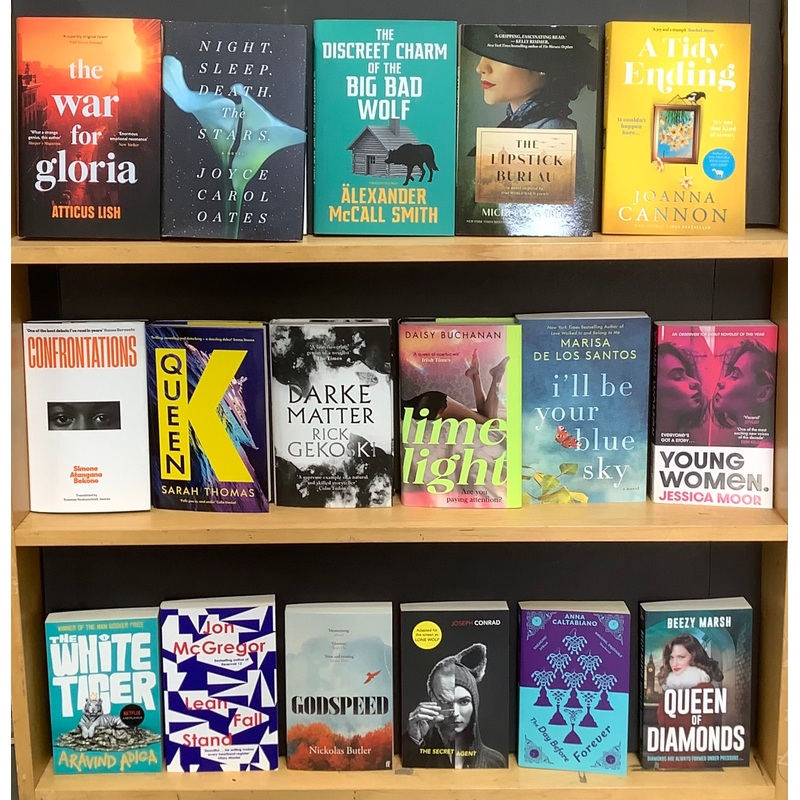 Literature Bargain Book Box 21 (17 Books)