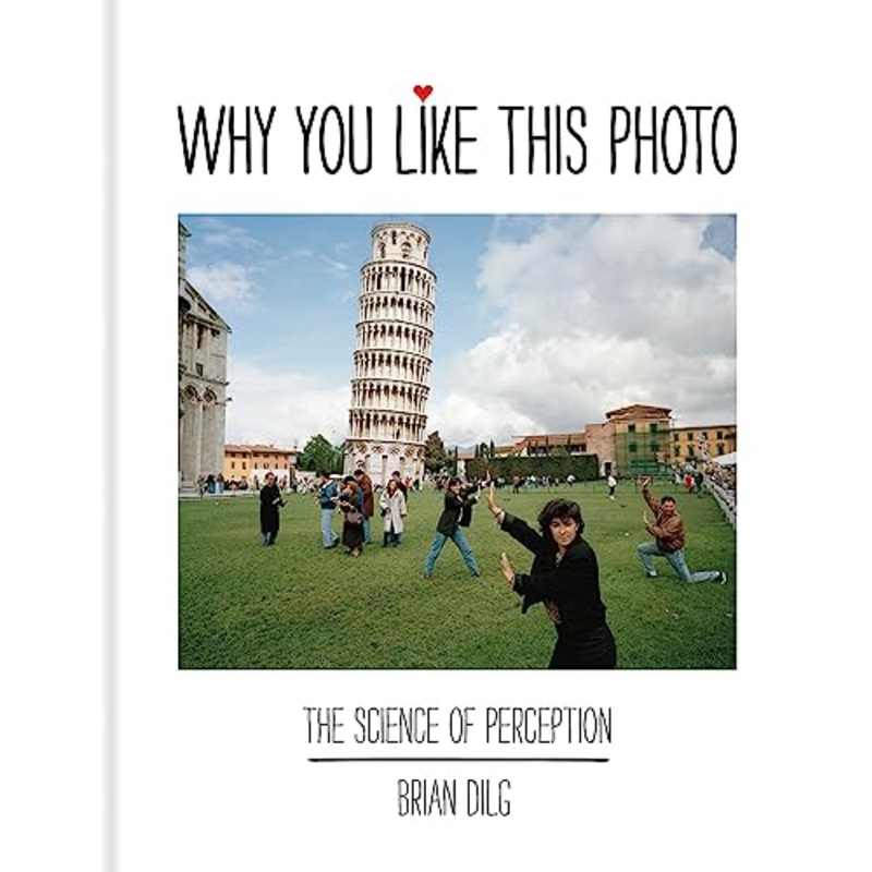 Why You Like This Photo: The science of perception
