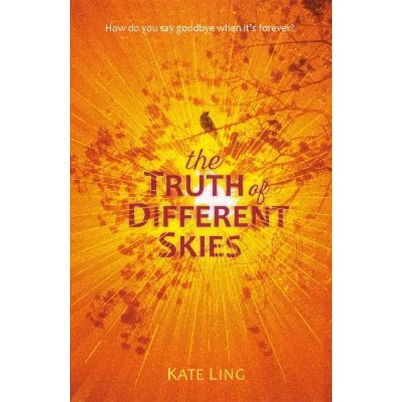 Ventura Saga: The Truth of Different Skies: Book 3
