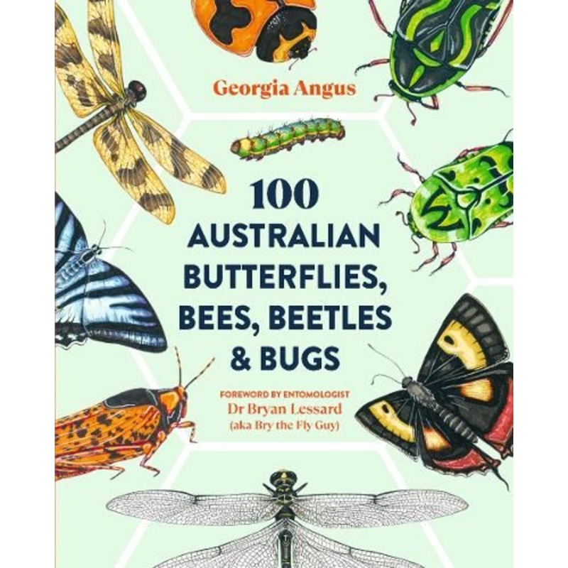 100 Australian Butterflies, Bees, Beetles & Bugs