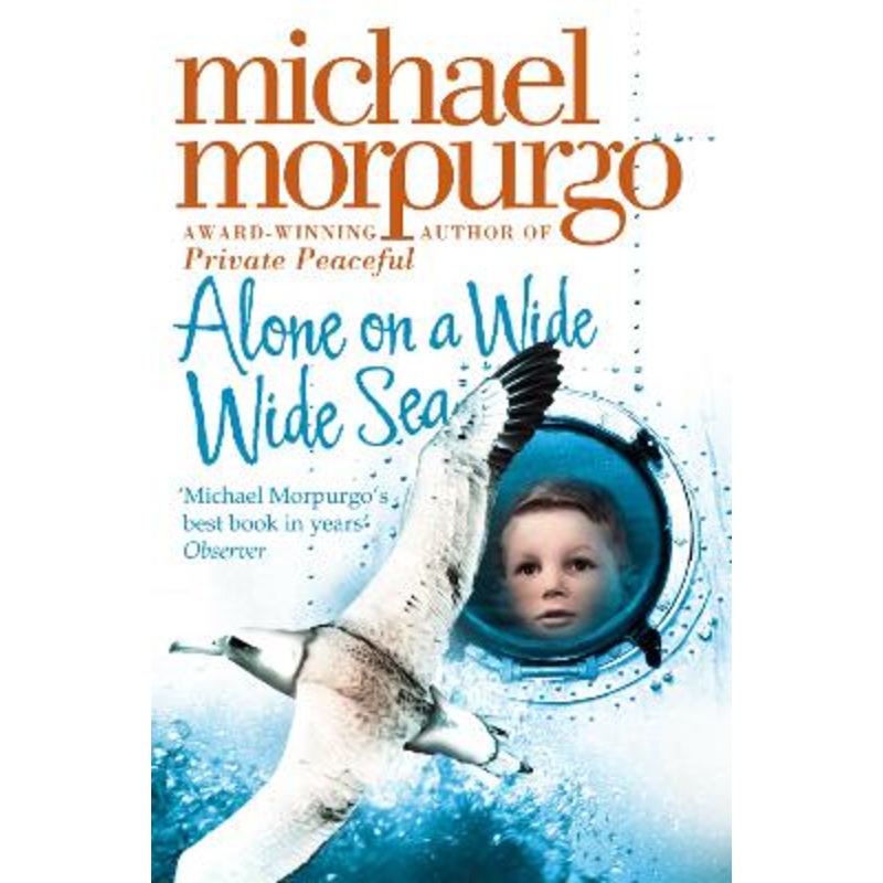 Alone on a Wide Wide Sea