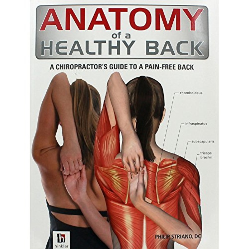 Anatomy of a Healthy Back