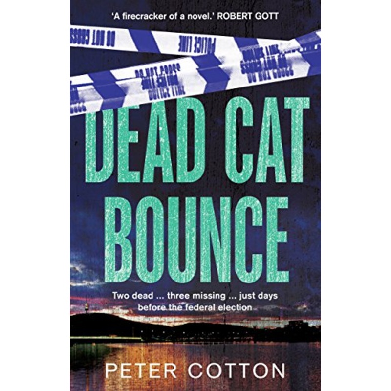 Dead Cat Bounce
