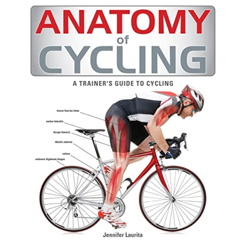 Anatomy of Cycling